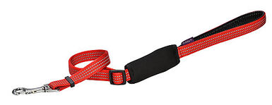 Ceinture de sécurité de chien de voiture réglable avec tampon élastique Ceinture  de sécurité pour animaux de compagnie Harnais de sécurité pour chien  Restraint Cy