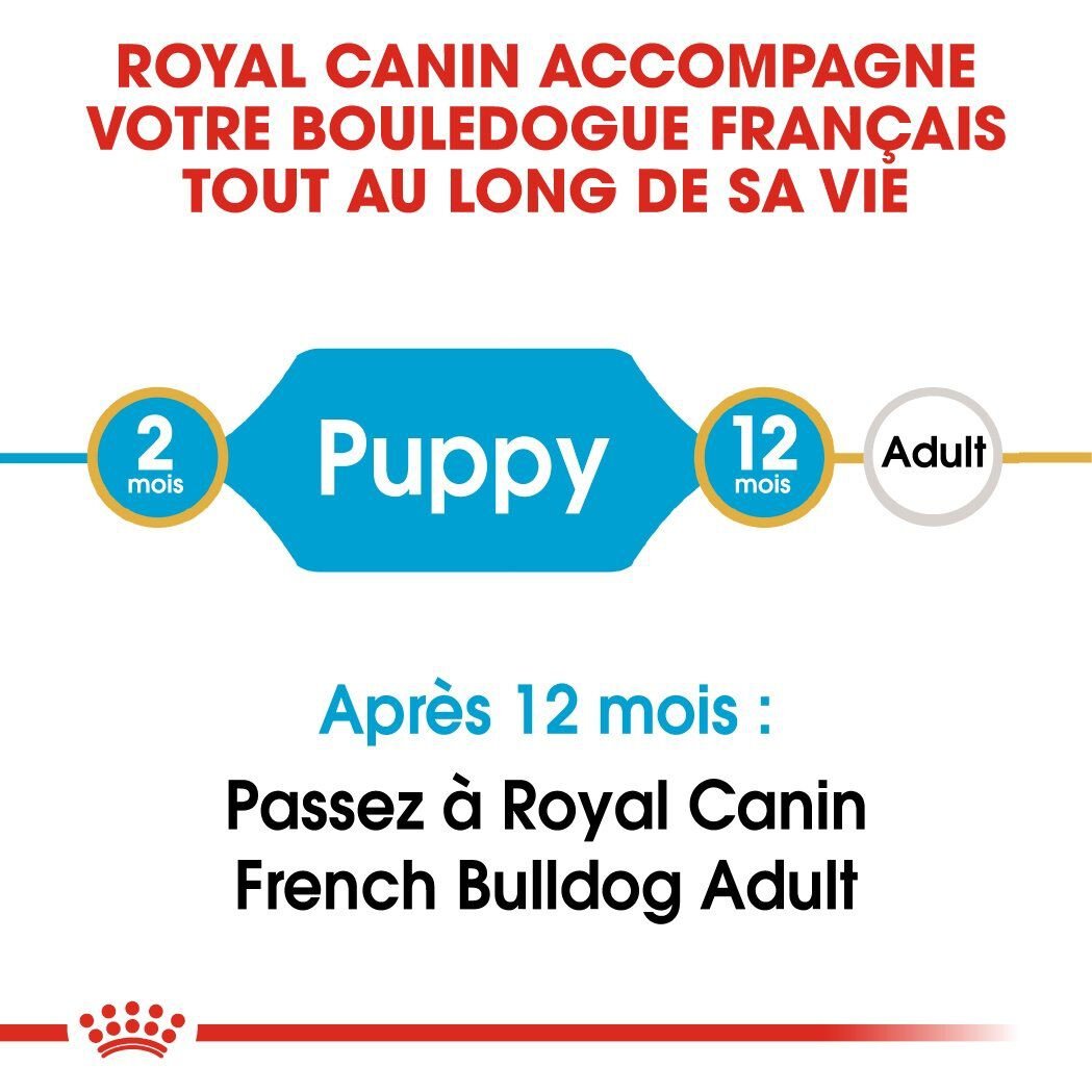 Royal Canin - Croquettes Bouledogue Fran&ccedil;ais Junior pour Chiot - 3Kg Image num&eacute;ro 2