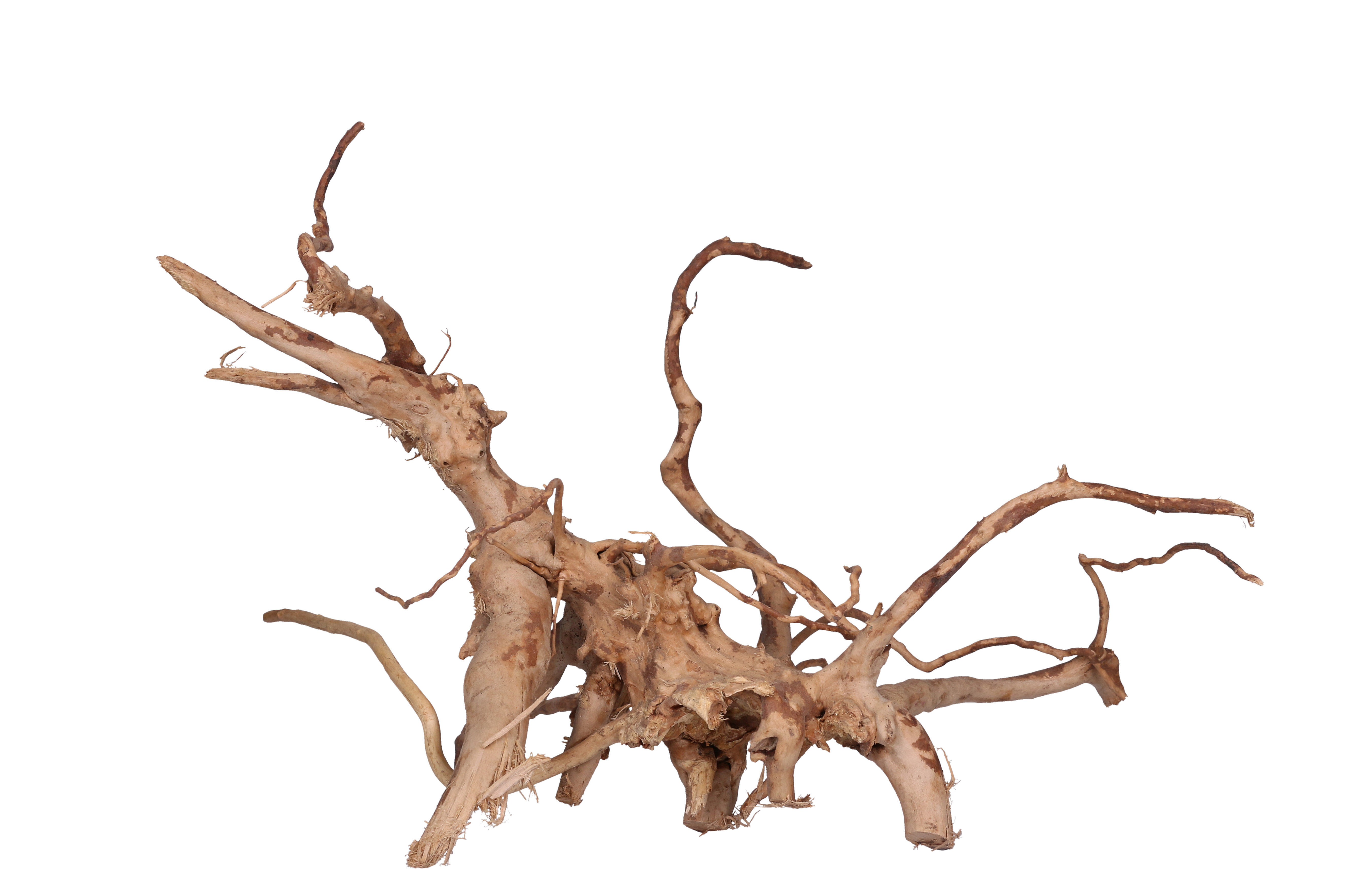 Aquavie - D&eacute;coration Racine Araign&eacute;e pour Aquarium d'Eau Douce - 50/80cm Image num&eacute;ro 1