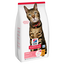 Hill's Science Plan - Adult Light Croquettes Pour Chat Au Poulet  -  1,5kg Indicateur image num&eacute;ro 2