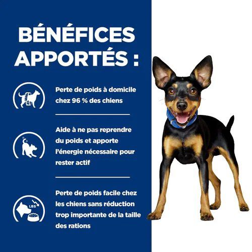 Hill's - Croquettes Prescription Diet Metabolic Mini pour Chiens - 1Kg Image num&eacute;ro 3