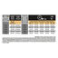 Pro Plan - Croquettes HEALTHY START Large Robust Poulet pour Chiot - 3Kg Indicateur image numéro 5