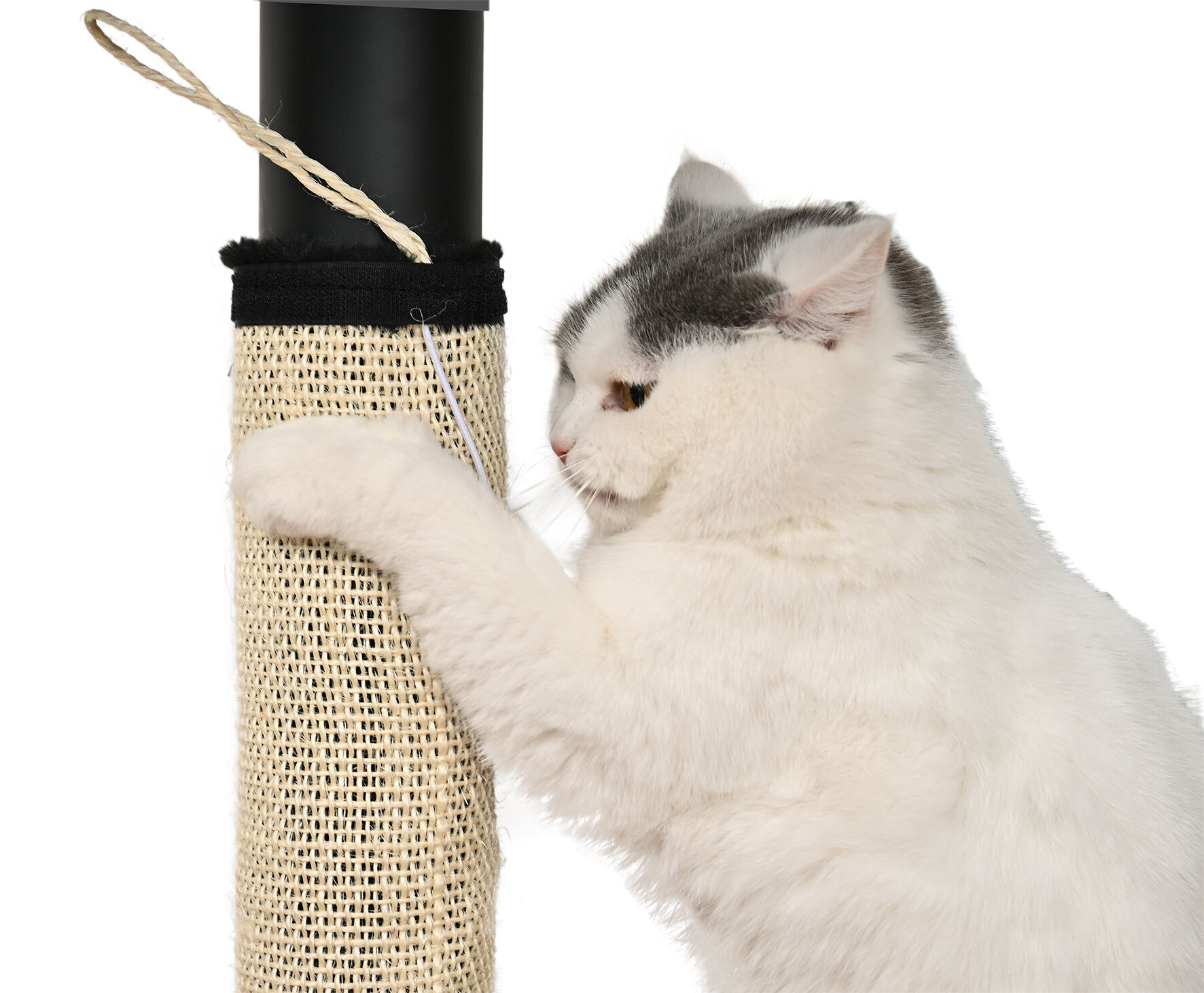 Leeby - Griffoir Pied Table pour Chats - 44,5x5cm Image num&eacute;ro 3