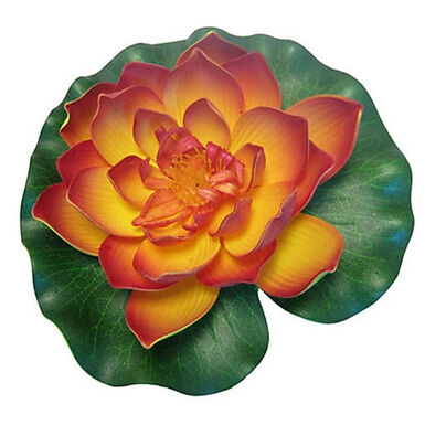 Pontec - Nénuphar PondoLily pour Bassin - Orange
