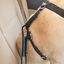 Kurgo - Attache Sécurité Direct Seat-belt Voiture pour Chien - Bleu Indicateur image numéro 3
