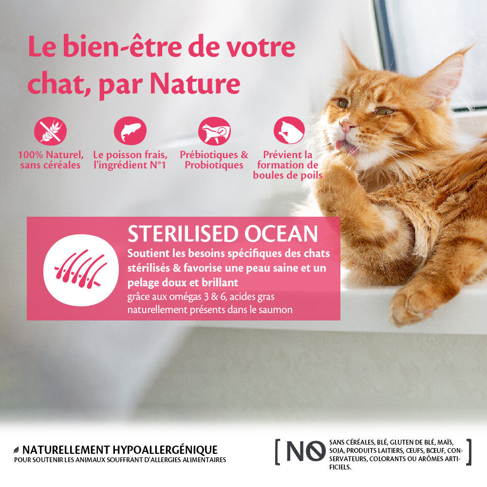 Wellness CORE - Croquettes Sterilised Saumon pour Chat - 1,75Kg Image num&eacute;ro 2