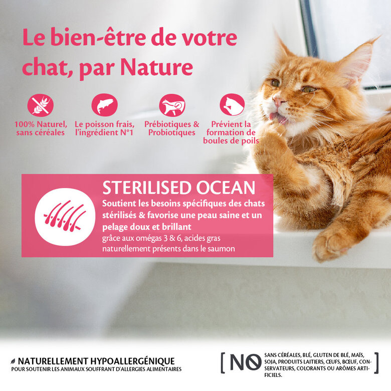 Wellness CORE - Croquettes Sterilised Saumon pour Chat - 1,75Kg Image numéro 2 Wellness CORE - Croquettes Sterilised Saumon pour Chat - 1,75Kg Image numéro 2
