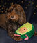Rosewood - Jouet Peluche Avocat de Noël pour Chien Indicateur image numéro 4