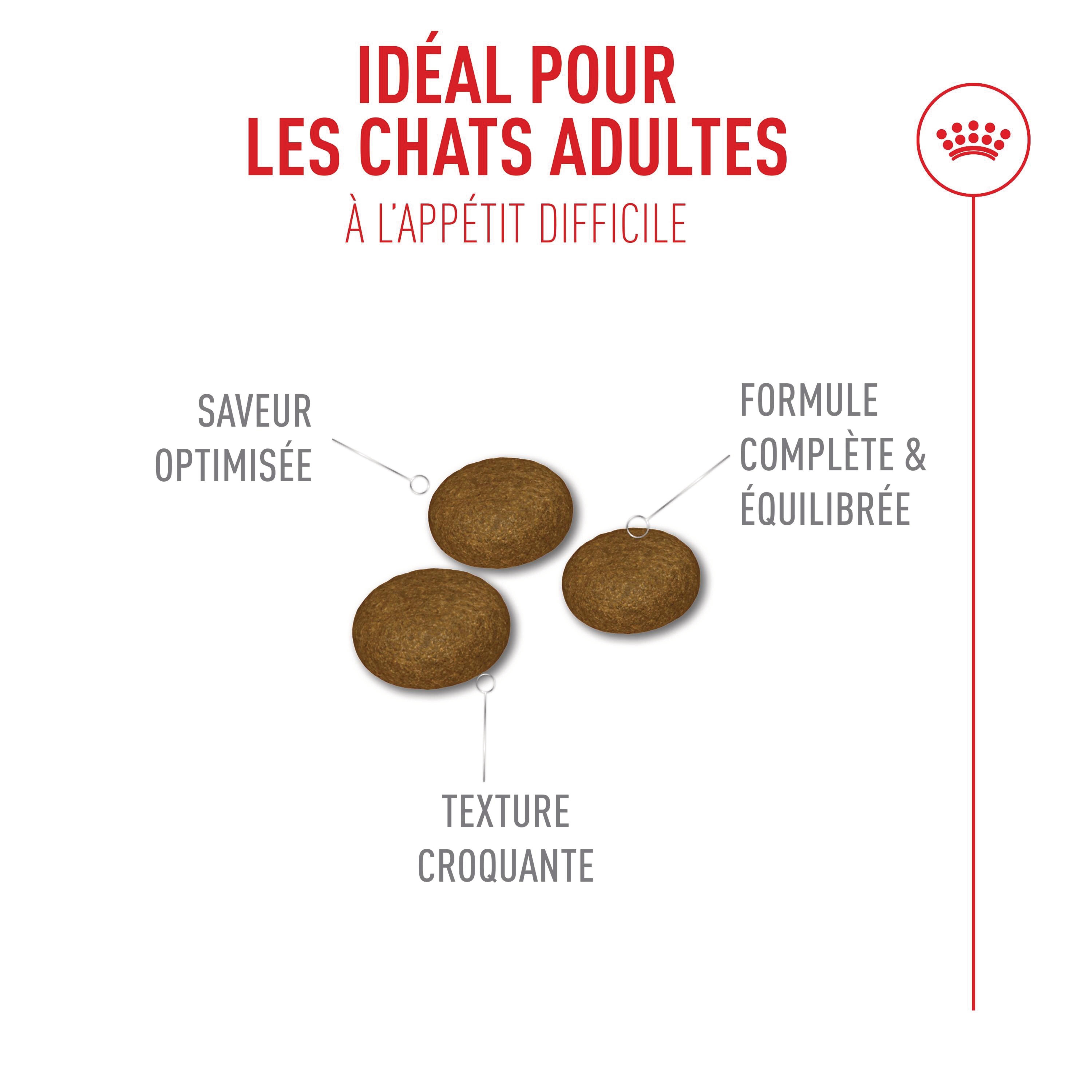 Royal Canin - Croquettes Fussy Exigent pour Chats Difficiles - 2Kg Image num&eacute;ro 5