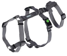 Kerbl - Harnais Antipanique Miami Gris pour Chiens - 64-100cm/25mm