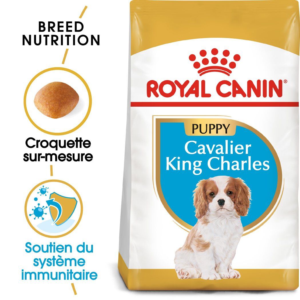 Royal Canin - Croquettes Cavalier King Charles Junior pour Chiot - 1,5Kg Image num&eacute;ro 1