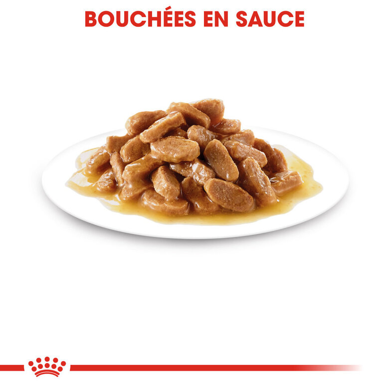 Royal Canin - Sachets Mini Puppy en Sauce pour Chiot - 12X85g Image numéro 5 Royal Canin - Sachets Mini Puppy en Sauce pour Chiot - 12X85g Image numéro 5