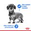 Royal Canin - Croquettes Mini Light Weight Care pour Chien - 8Kg Indicateur image numéro 3