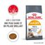 Royal Canin - Croquettes Hair & Skin Care pour Chat - 400g Indicateur image numéro 1