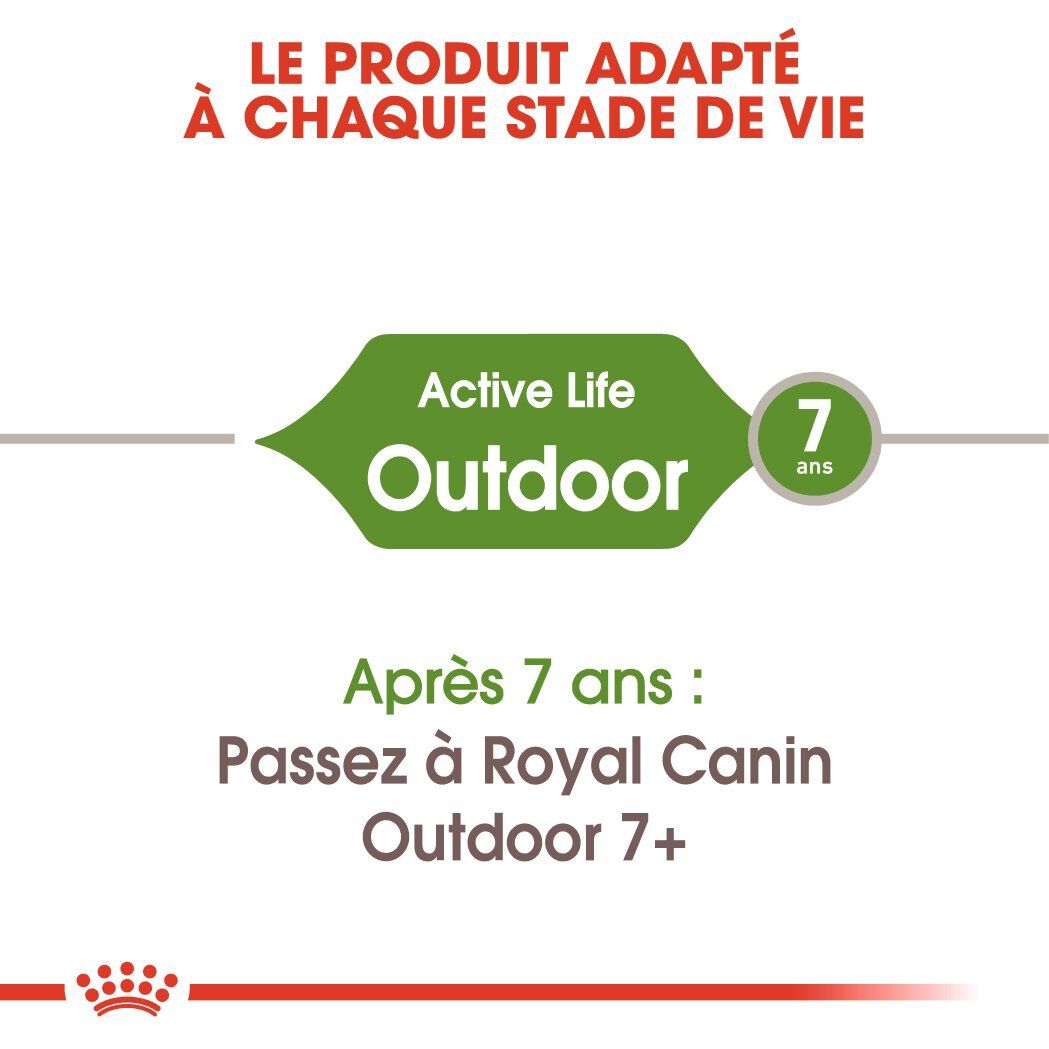 Royal Canin - Croquettes Outdoor 30 pour Chat - 4Kg Image num&eacute;ro 3