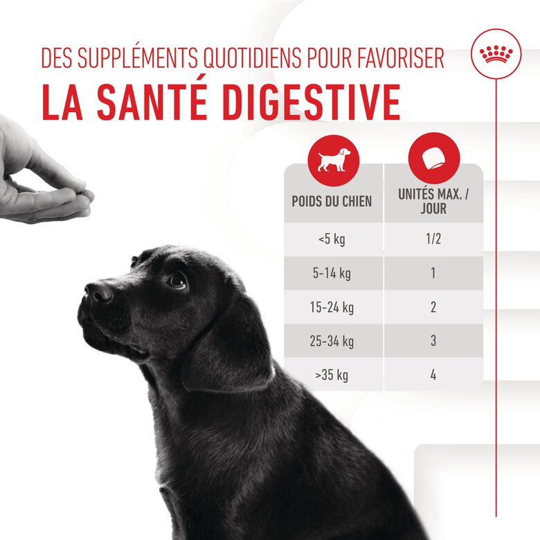 Royal Canin - Aliment Complémentaire Immunity & Digestion pour Chiots - 100g Image numéro 9 Royal Canin - Aliment Complémentaire Immunity & Digestion pour Chiots - 100g Image numéro 9