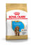 Royal Canin - Croquettes PUPPY COCKER pour Chiots - 3KG Indicateur image numéro 2