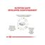 Royal Canin - Croquettes Veterinary Urinary S/O Moderate Calorie Pour Chiens - 6,5Kg Indicateur image numéro 4