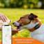 Weenect - Traceur GPS L/XL Edition 2023 pour Chiens - Noir Indicateur image numéro 5