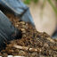 Eublepharis - Sol Nutritif Bio-Active Premium Tropical Soil - 10Kg Indicateur image numéro 10