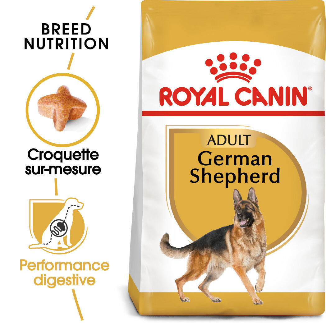 Royal Canin - Croquettes German Shepherd Adult &Agrave; partir de 15 mois - 3 Kg Image num&eacute;ro 1