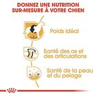 Royal Canin - Croquettes Labrador pour Chien Adulte - 12Kg image number null