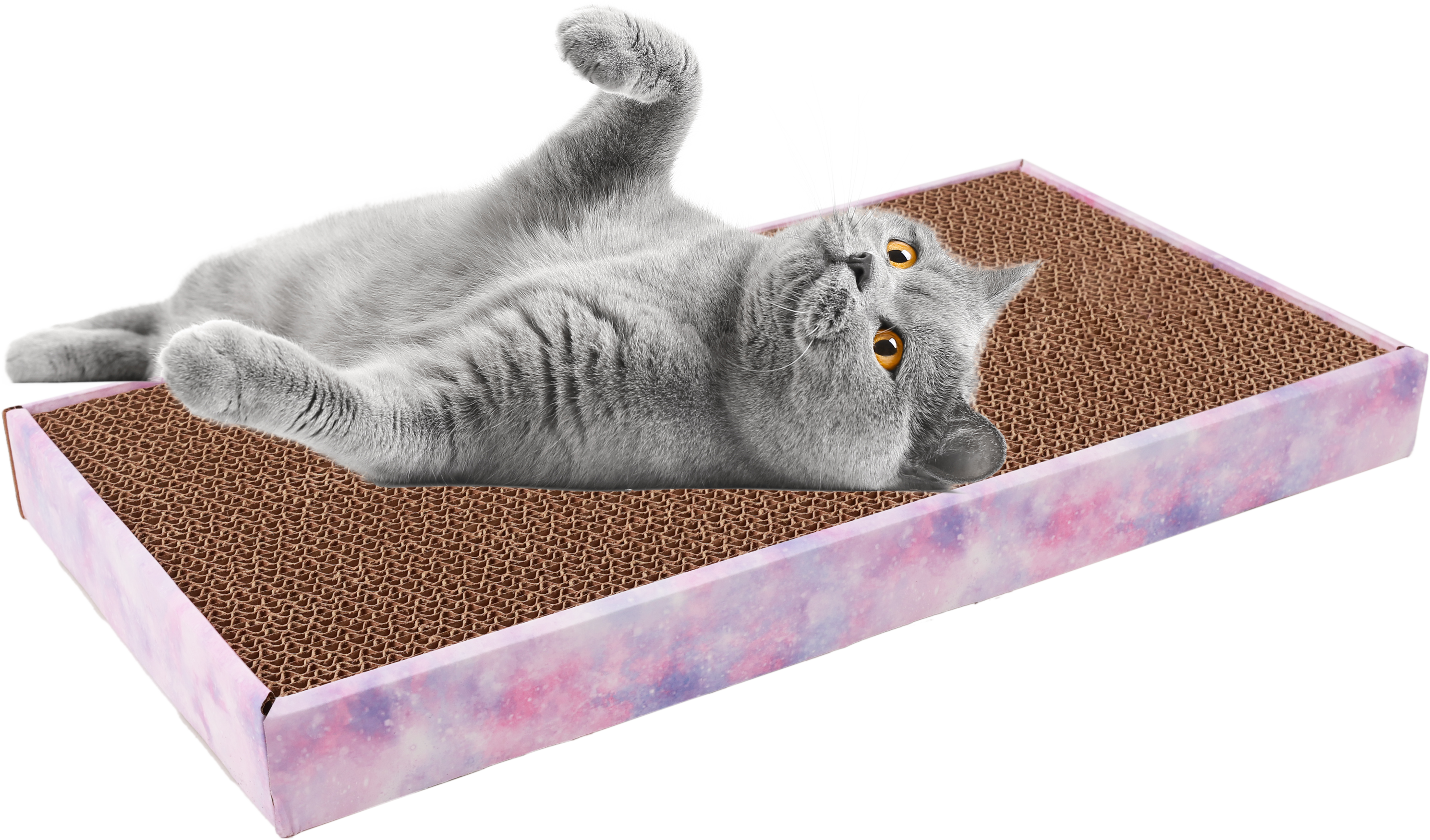 Leeby - Griffoir Everyday Flattie Scratcher pour Chats - 47,5x24,5cm Image num&eacute;ro 1