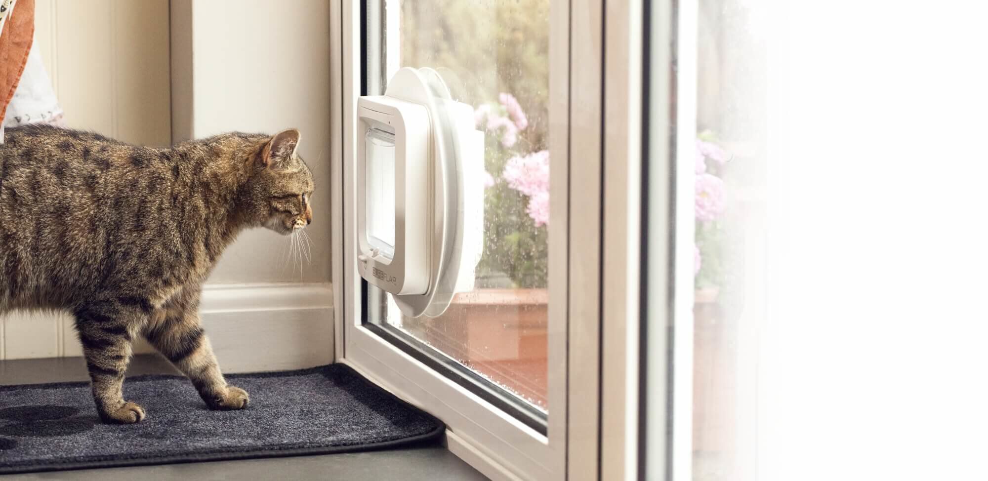 Sure Petcare - SureFlap chati&egrave;re 4 positions avec puce d'ident. blanc - 21 x 21 cm Image num&eacute;ro 3