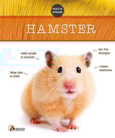 Artémis - Hamster