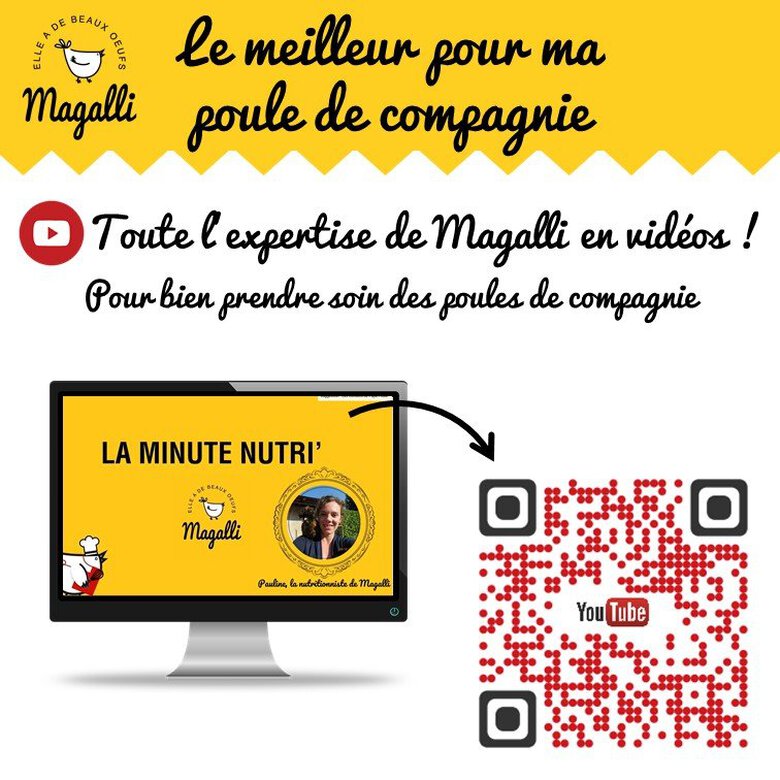 Magalli - Aliment Complet Poule Santé pour Basse-cour - 4Kg Image numéro 6 Magalli - Aliment Complet Poule Santé pour Basse-cour - 4Kg Image numéro 6