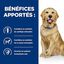 Hill's - Croquettes Prescription Diet J/D Mobility pour Chiens - 12Kg Indicateur image numéro 4