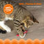 Outward Hound - Jouet Dynamite Green Magic pour Chats - Rouge Indicateur image numéro 4