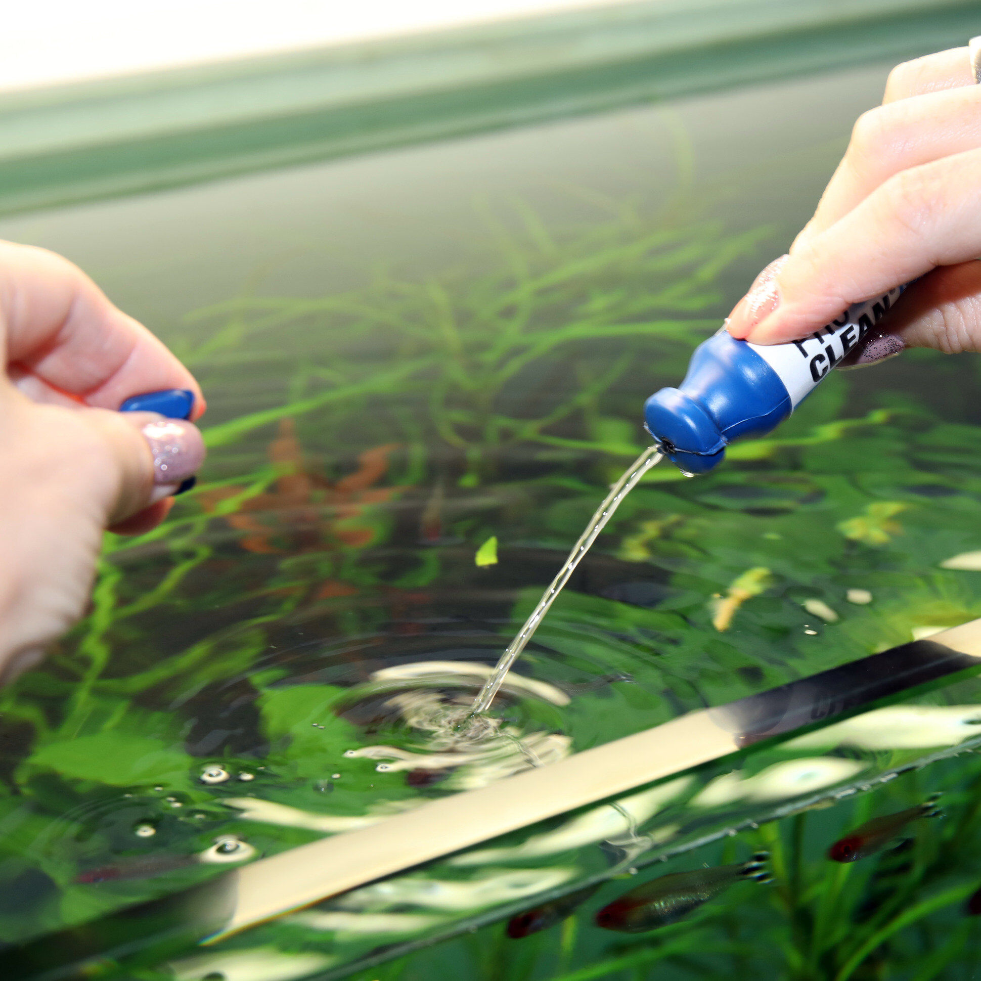 JBL - Conditionneur d'Eau ProClean Bac pour Aquarium - 50ml Image num&eacute;ro 2