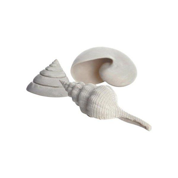 Oase - Lot de D&eacute;cor Coquillages Blanc pour Aquarium BiOrb - x3 Image num&eacute;ro 1