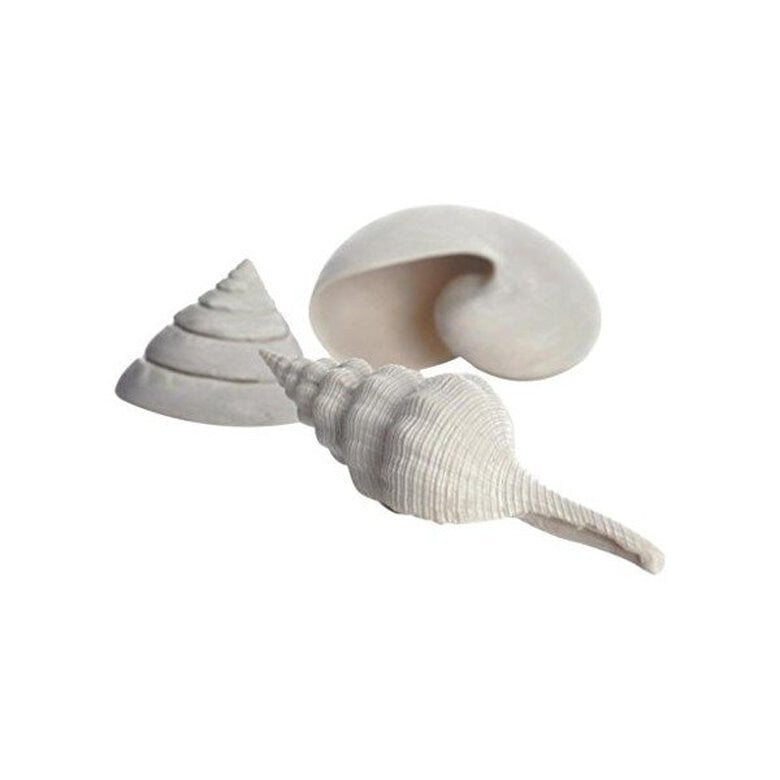 Oase - Lot de Décor Coquillages Blanc pour Aquarium BiOrb - x3 Image numéro 1 Oase - Lot de Décor Coquillages Blanc pour Aquarium BiOrb - x3 Image numéro 1