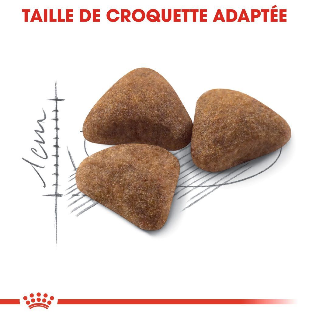 Royal Canin - Croquettes Indoor 27 Chat d'Int&eacute;rieur pour Chat Adulte - 4Kg Image num&eacute;ro 5