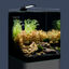 Dennerle - Mini Aquarium Nano Cube Basic - 20L Indicateur image numéro 3