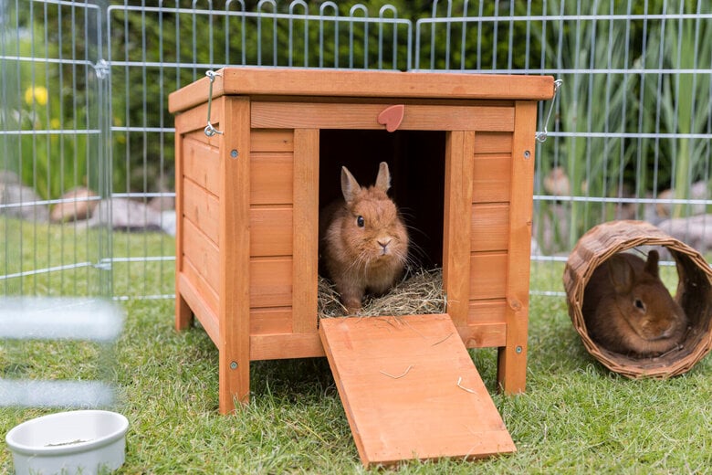 Trixie - Natura Habitat Petits Animaux - 42 × 43 × 51 cm, Brun Image numéro 1 Trixie - Natura Habitat Petits Animaux - 42 × 43 × 51 cm, Brun Image numéro 1