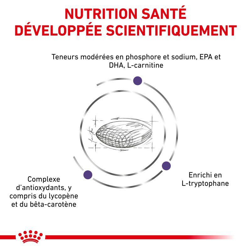 Royal Canin - Croquettes Expert Mature Consult Small Dogs pour Chiens - 3,5Kg Image num&eacute;ro 4