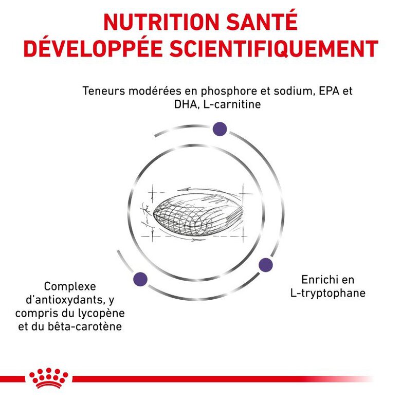 Royal Canin - Croquettes Expert Mature Consult Small Dogs pour Chiens - 3,5Kg Image numéro 4 Royal Canin - Croquettes Expert Mature Consult Small Dogs pour Chiens - 3,5Kg Image numéro 4