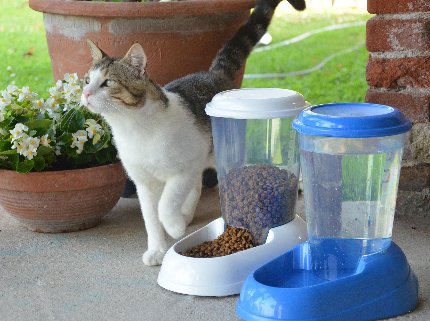 Ferplast - Distributeur de Croquettes Zenith pour Chiens et Chats - Blanc Image num&eacute;ro 2