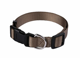 Animalis - Collier Basic pour Chien Taupe