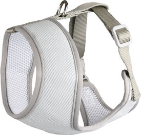 Flamingo - Harnais Small Dog Vert pour Chiens