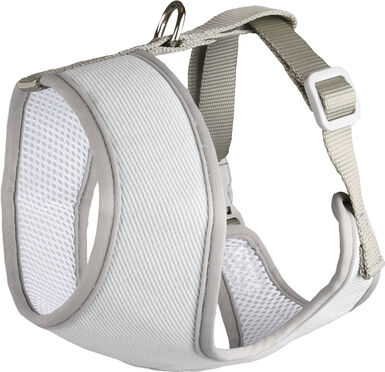 Flamingo - Harnais Small Dog Vert pour Chiens