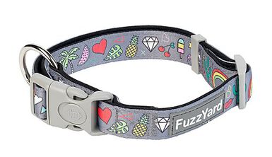 FuzzYard - Collier Coachella pour Chien - L