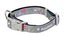 FuzzYard - Collier Coachella pour Chien - L Indicateur image numéro 1