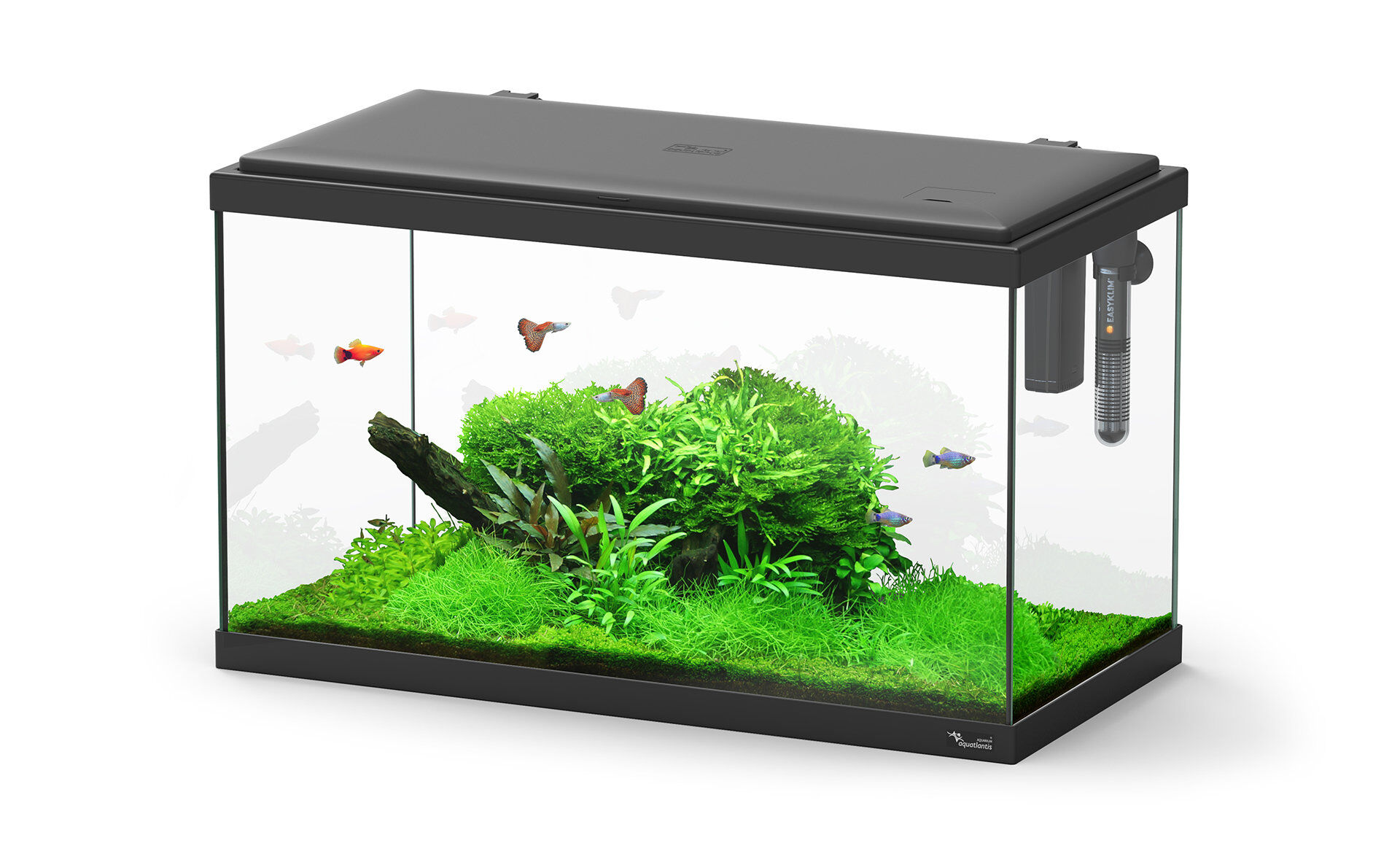 Aquatlantis - Aquarium Explorer Paris 60 - Noir Equip&eacute; Image num&eacute;ro 1