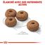 Royal Canin - Croquettes Medium Sterilised pour Chien Stérilisé - 3Kg Indicateur image numéro 5