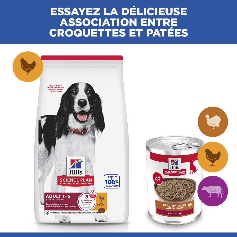 Hill's Science Plan - Adult Boite Pour Chien A La Dinde  - 370g Image num&eacute;ro 8