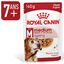ROYAL CANIN - SACHET FRAICHEUR MEDIUM AGEING 10+ en sauce POUR CHIENS SENIORS - 10x140g Indicateur image numéro 2